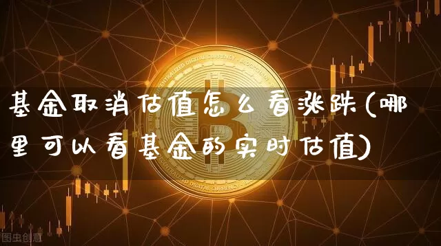 基金取消估值怎么看涨跌(哪里可以看基金的实时估值)_https://www.czytfl.com_期货_第1张