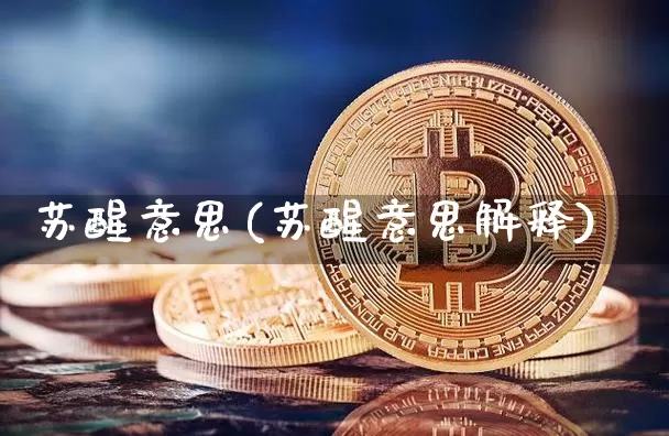 苏醒意思(苏醒意思解释)_https://www.czytfl.com_期货走势_第1张