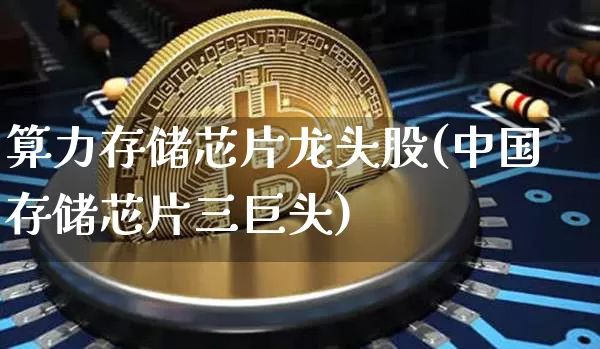 算力存储芯片龙头股(中国存储芯片三巨头)_https://www.czytfl.com_期货行情_第1张
