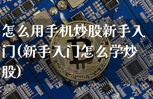 怎么用手机炒股新手入门(新手入门怎么学炒股)_https://www.czytfl.com_期货走势_第1张