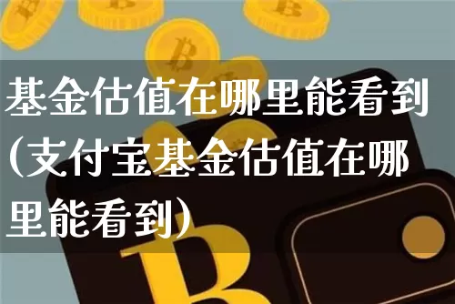基金估值在哪里能看到(支付宝基金估值在哪里能看到)_https://www.czytfl.com_期货_第1张