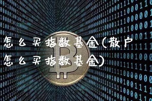 怎么买指数基金(散户怎么买指数基金)_https://www.czytfl.com_期货走势_第1张
