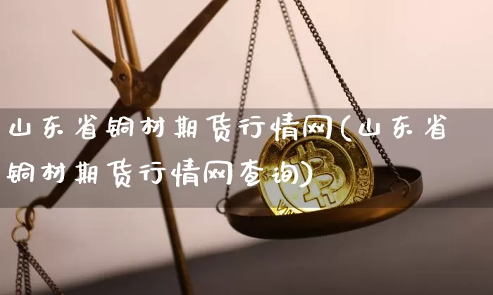 山东省铜材期货行情网(山东省铜材期货行情网查询)_https://www.czytfl.com_期货交易_第1张