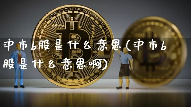 沪市b股是什么意思(沪市b股是什么意思啊)_https://www.czytfl.com_期货走势_第1张