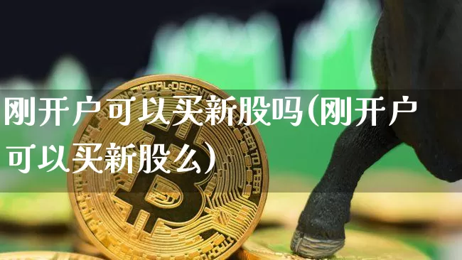刚开户可以买新股吗(刚开户可以买新股么)_https://www.czytfl.com_期货价格_第1张