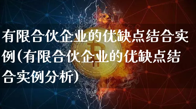 有限合伙企业的优缺点结合实例(有限合伙企业的优缺点结合实例分析)_https://www.czytfl.com_期货走势_第1张