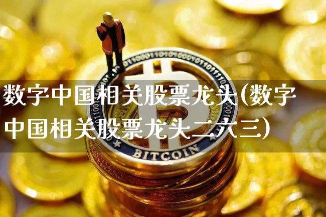 数字中国相关股票龙头(数字中国相关股票龙头二六三)_https://www.czytfl.com_期货行情_第1张