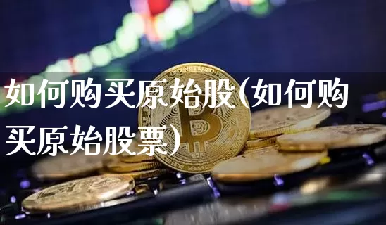 如何购买原始股(如何购买原始股票)_https://www.czytfl.com_期货价格_第1张