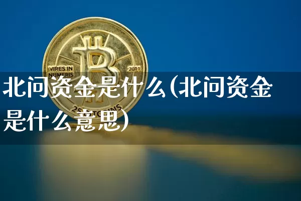 北问资金是什么(北问资金是什么意思)_https://www.czytfl.com_期货走势_第1张