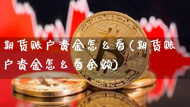 期货账户资金怎么看(期货账户资金怎么看余额)_https://www.czytfl.com_期货行情_第1张
