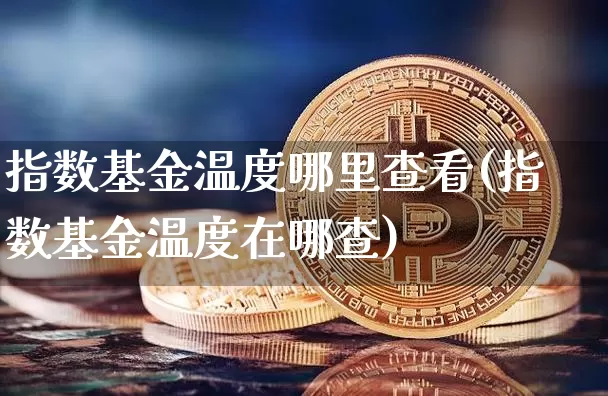指数基金温度哪里查看(指数基金温度在哪查)_https://www.czytfl.com_期货_第1张