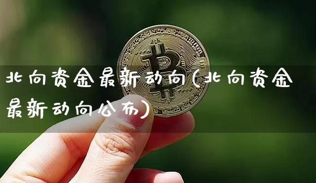 北向资金最新动向(北向资金最新动向公布)_https://www.czytfl.com_期货_第1张