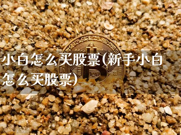 小白怎么买股票(新手小白怎么买股票)_https://www.czytfl.com_期货走势_第1张